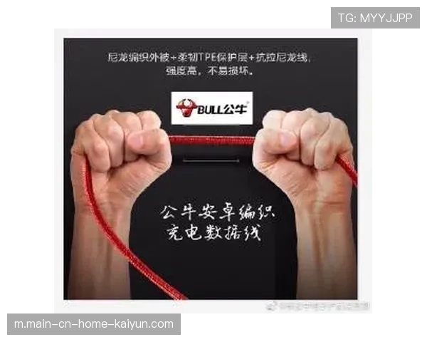 四大到期合同换来微薄回报 公牛重建方向再遭质疑